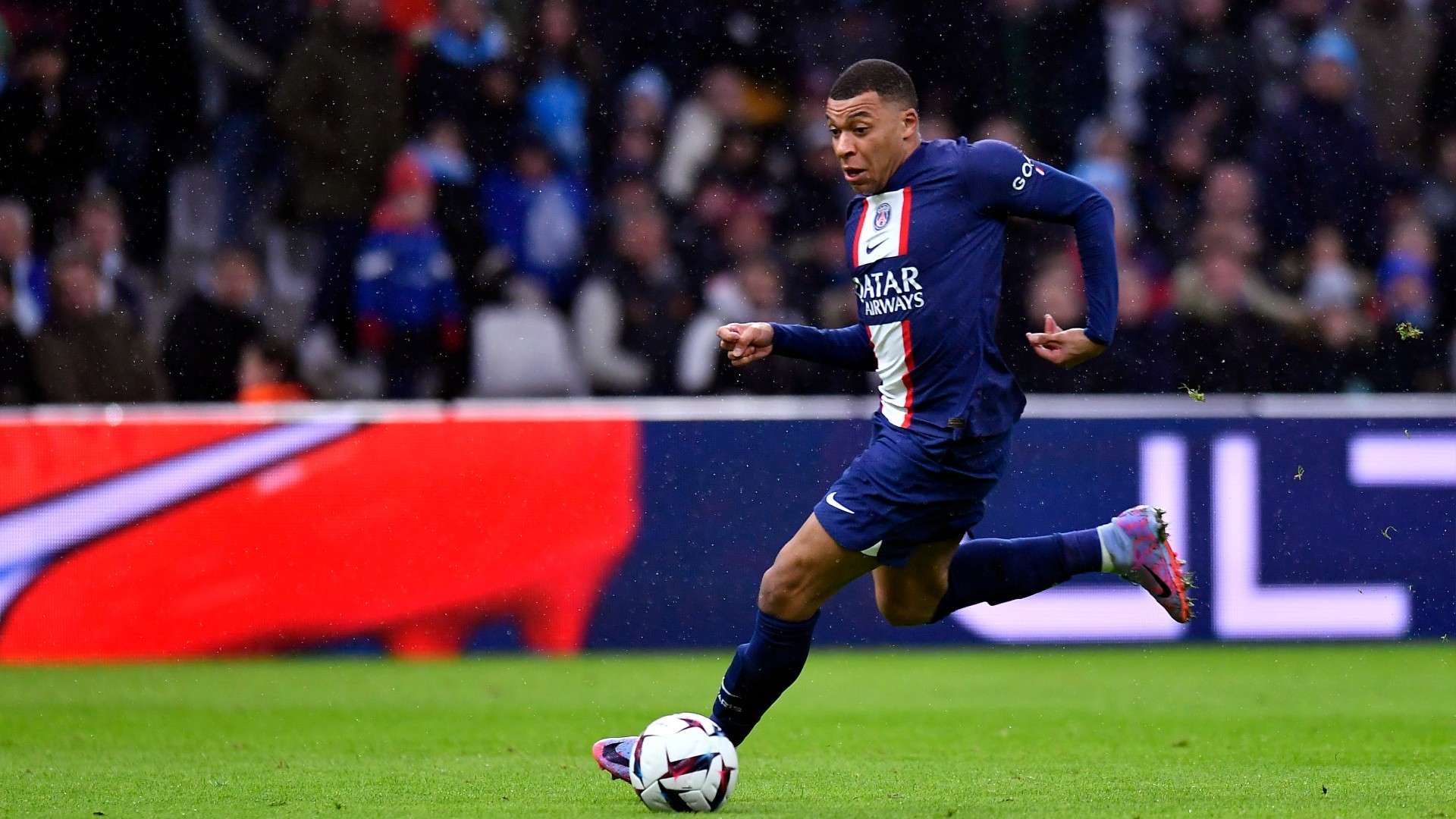 赏性和竞技 赏性和竞技